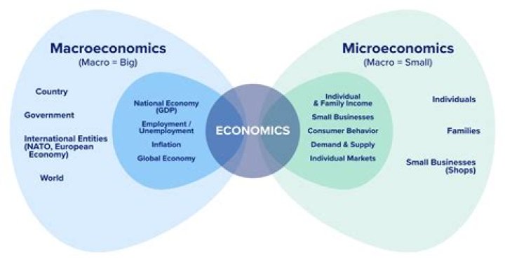 What are the areas of economics?