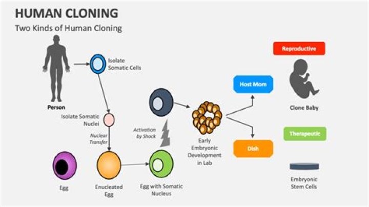 What are the disadvantages of human cloning?