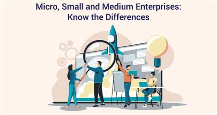 What are the examples of small medium enterprise?