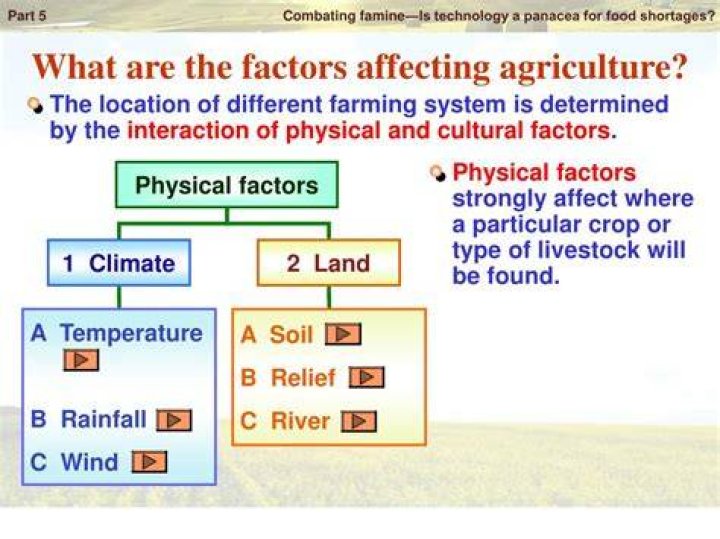 What are the factors affecting agricultural production?