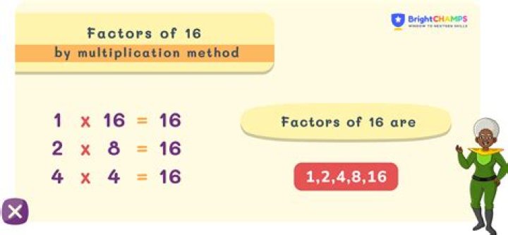 What are the factors of 16 24?