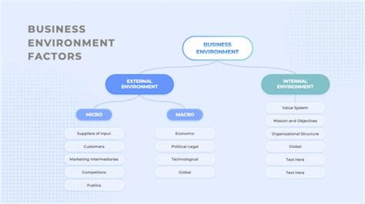 What are the main environmental factors in the tourism business environment?