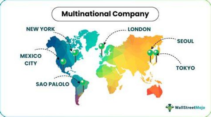 What are the merits of multinational companies?