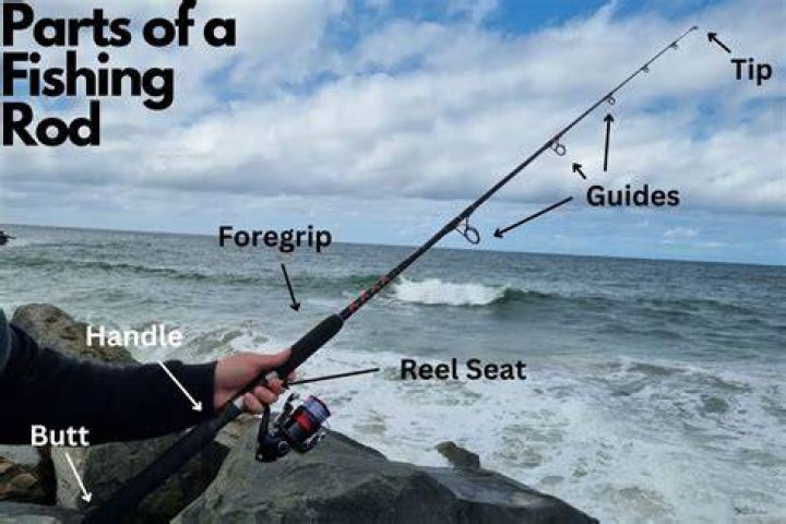 What are the parts of a fishing rod called?