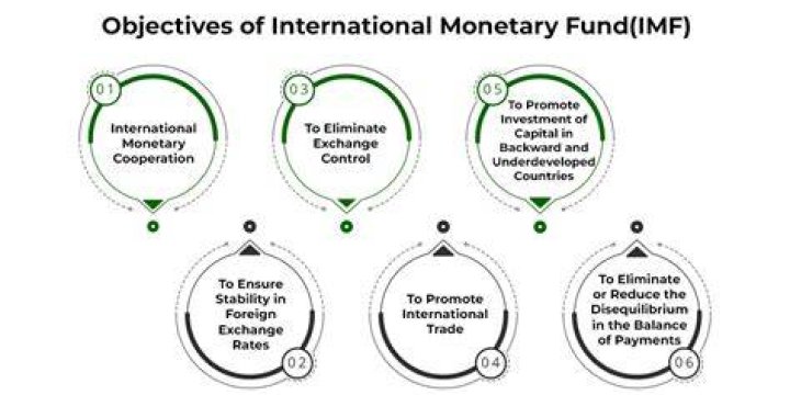 What are the roles of International Monetary Fund?