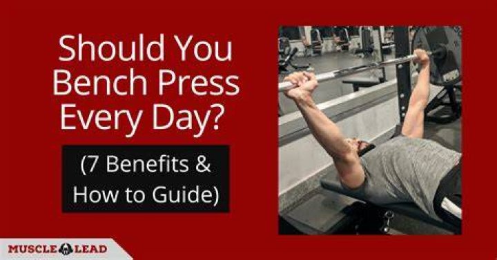 What are the rules for bench press?