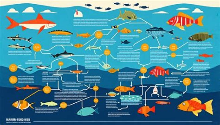 What are the short term effects of overfishing?