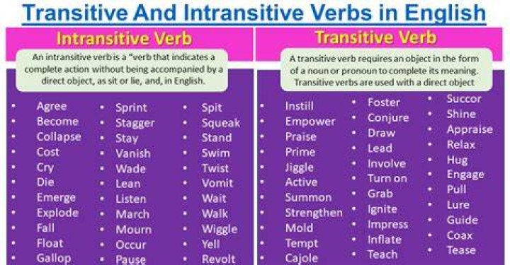 What are transitive verbs and intransitive verbs?