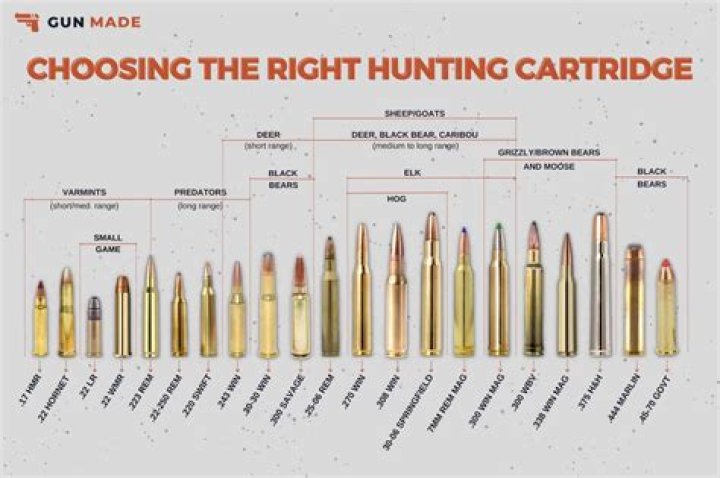 What caliber is a Vz 24 rifle?