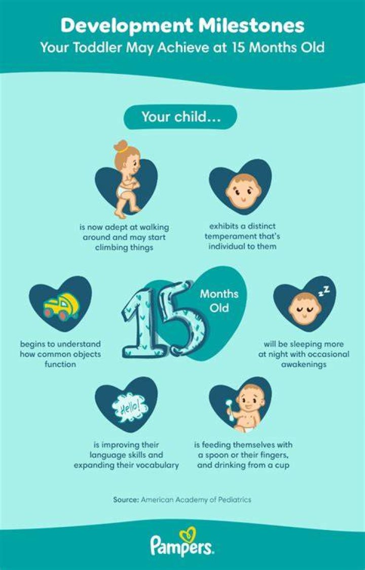 What can a 15 month old do intellectually?