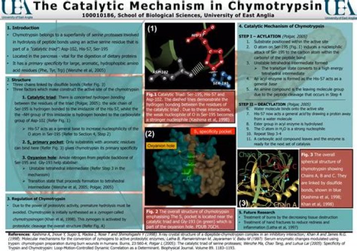 What catalytic mechanisms does chymotrypsin use?