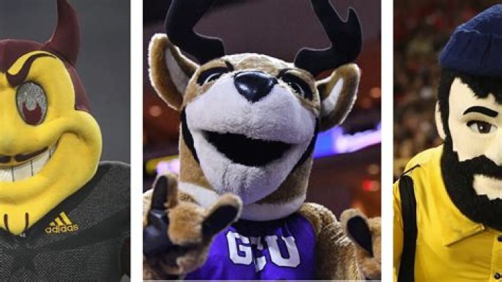 What college has stags as their mascot?
