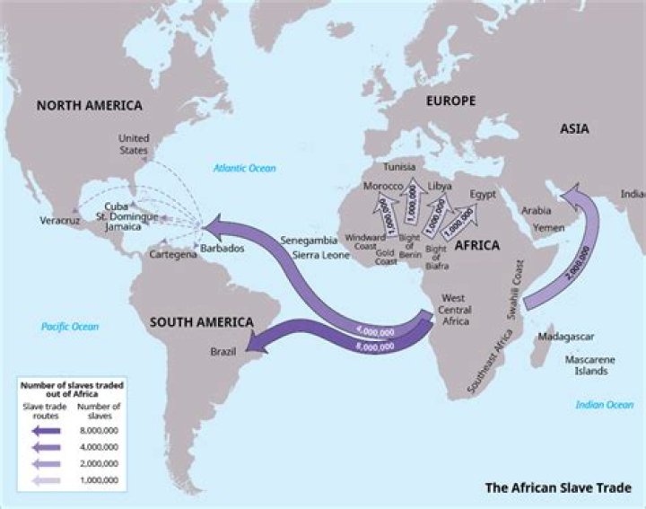 What crops did African slaves bring to America?
