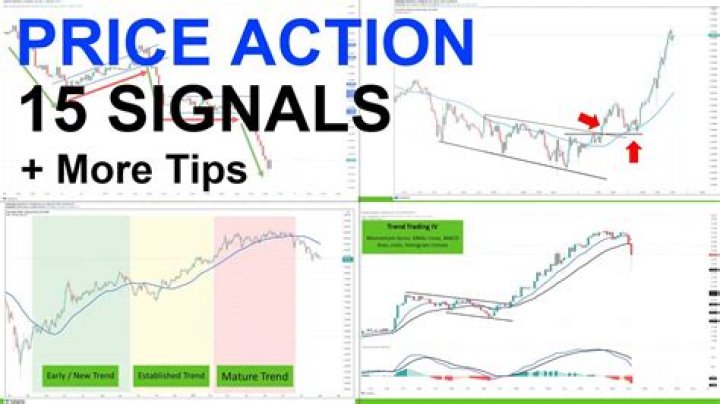 What do prices signal to consumers?