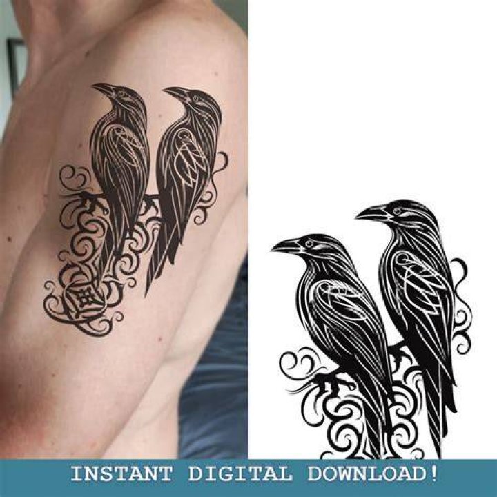 What does it mean if you see Huginn and Muninn?