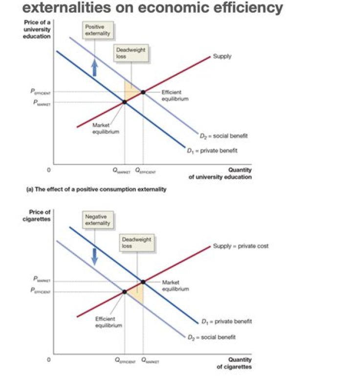 What does it mean to internalize the externality?