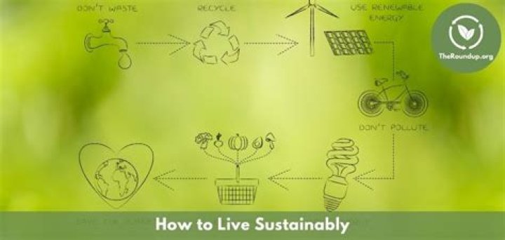What does sustainable living mean?