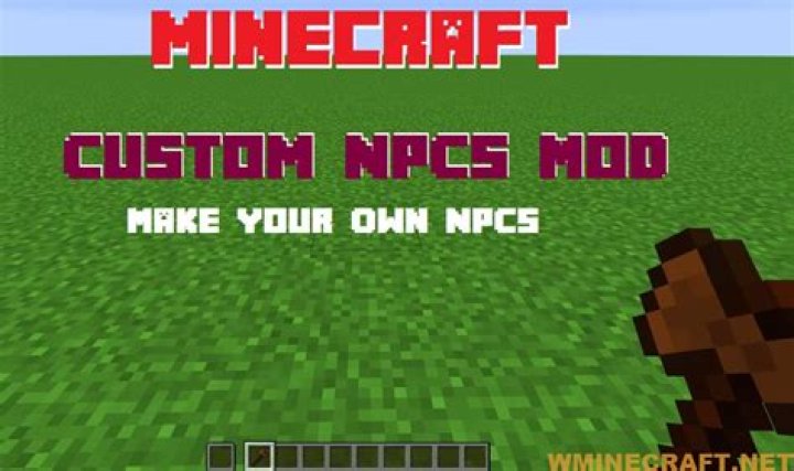 What does the custom NPCs mod do?
