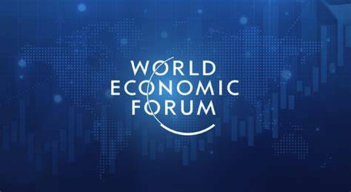 What does World Economic Forum do?