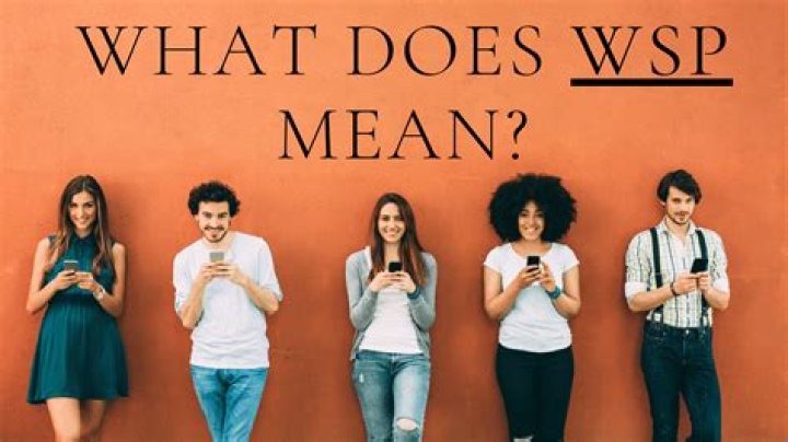What does WSP mean company?