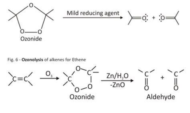 What happen when 2 butene undergoes ozonolysis?
