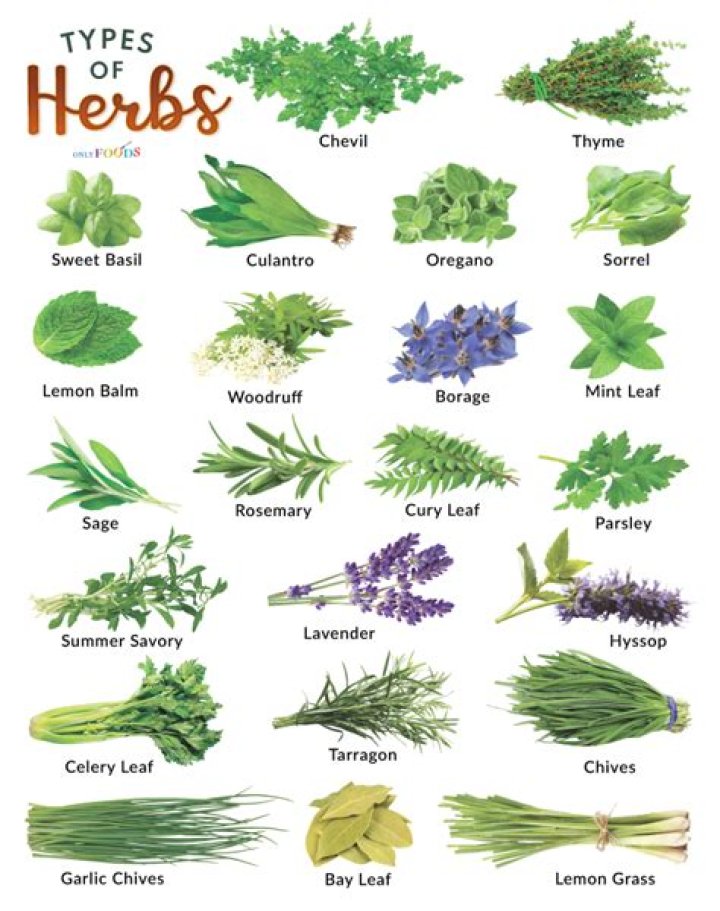 What herbs should you have at home?