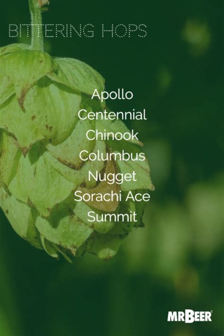 What hops are best for bittering?