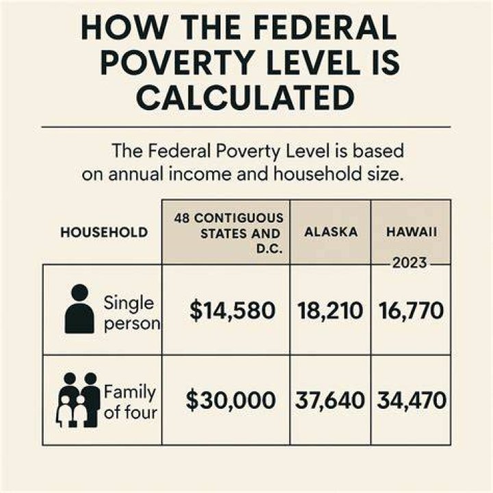 What income level is considered below poverty?