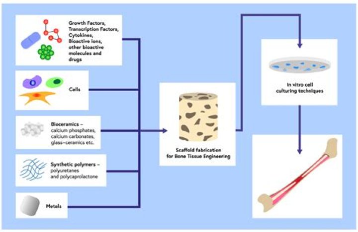What is a ceramic biomaterial?