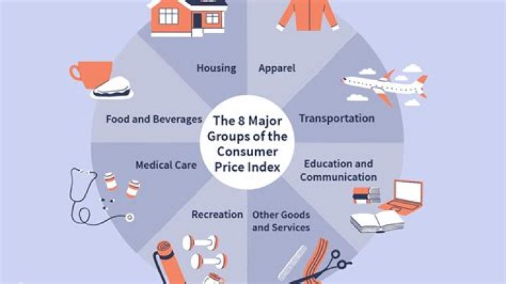 What is a consumer in the economy?