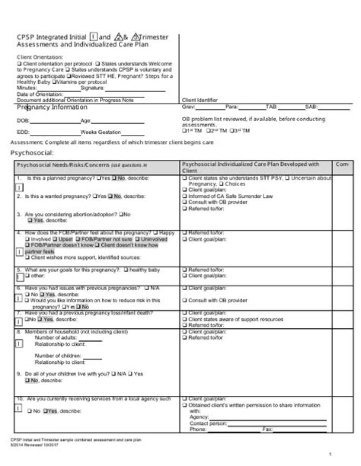 What is a CPS initial assessment?