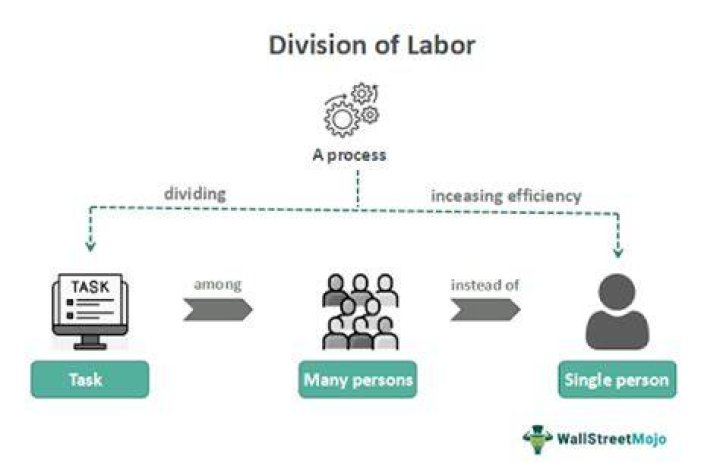 What is an effect of the division of labor?