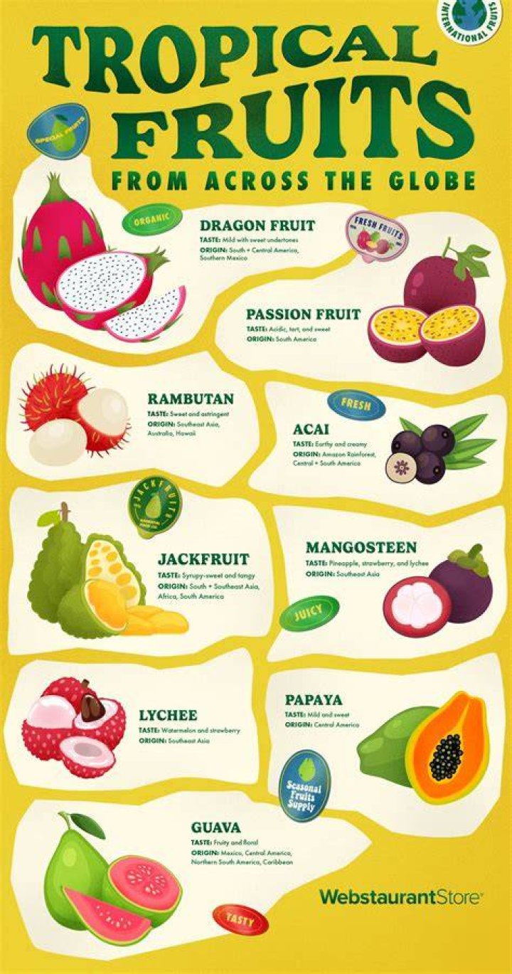 What is an exotic word?