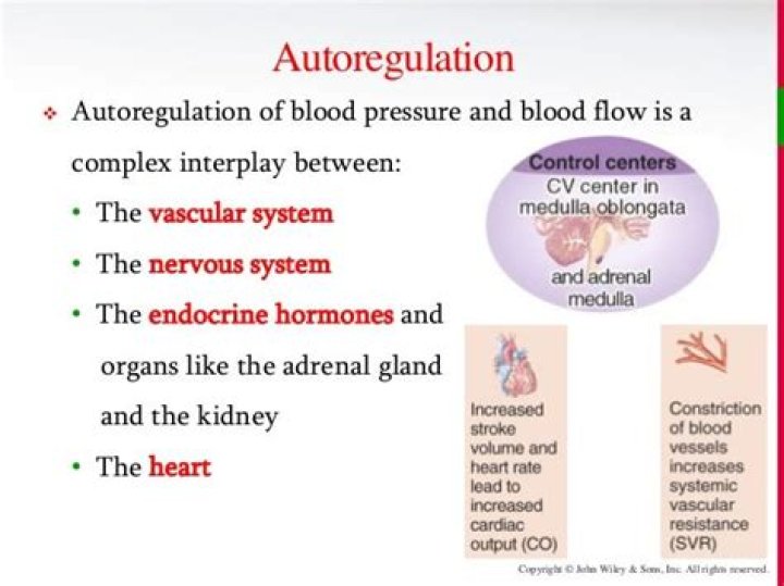 What is autoregulation of blood flow quizlet?