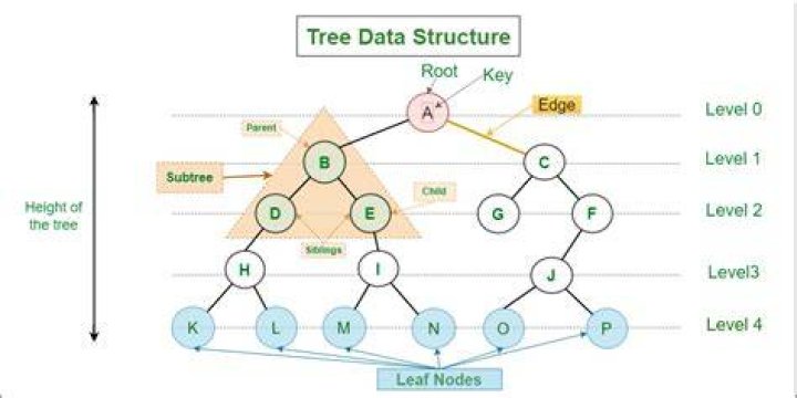 What is binary construct?