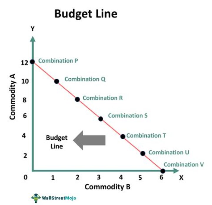 What is budget line example?