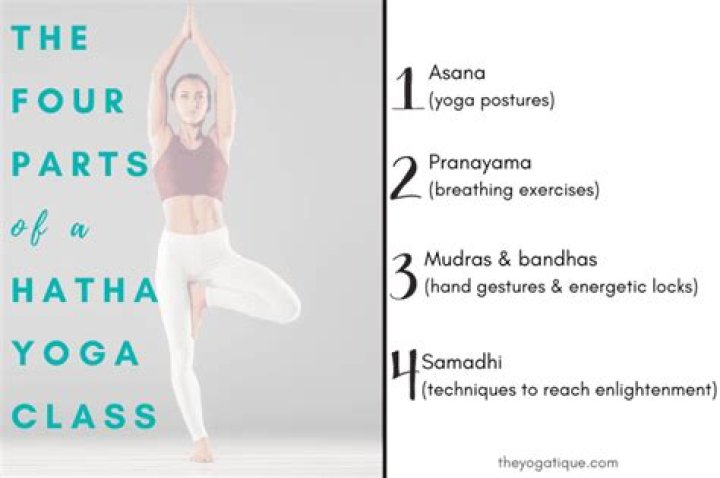 What is Dynamic Hatha Yoga?