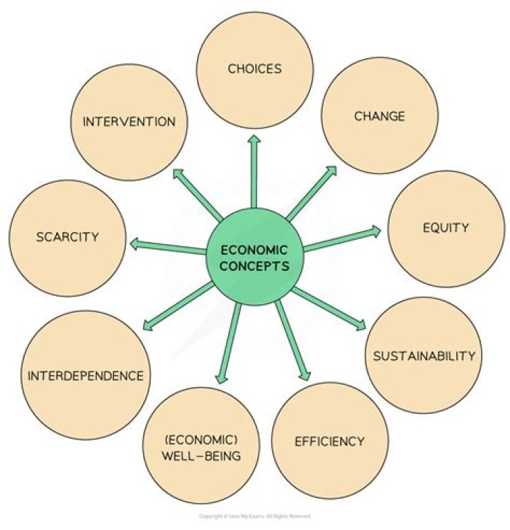 What is economic as a social science?