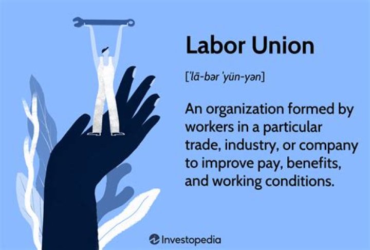 What is labor organization?