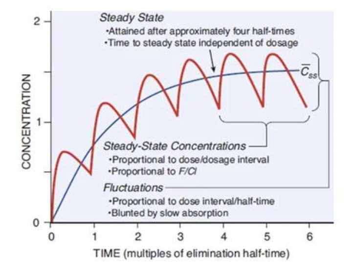 What is meant by steady state condition?