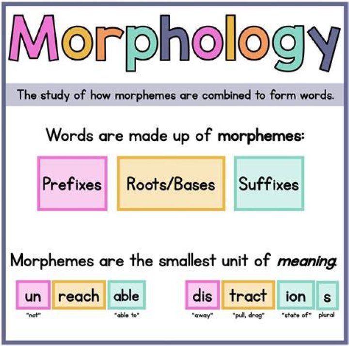 What is morphological grammar?