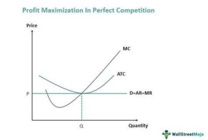 What is profit maximization in perfect competition?