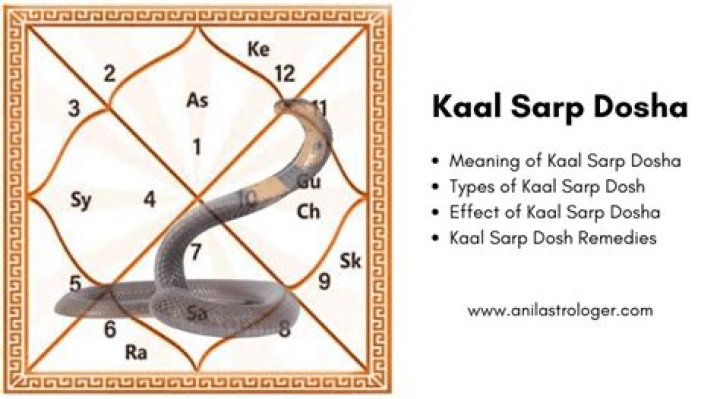 What is remedy for Kaal Sarp Yog?