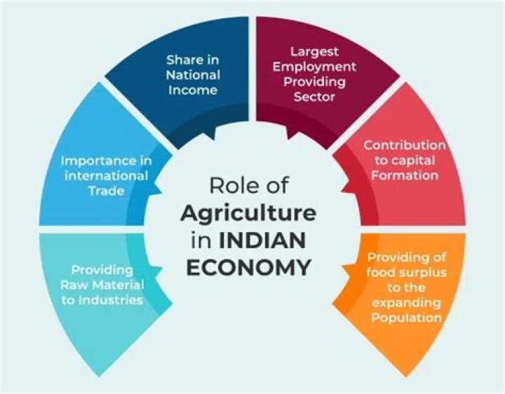 What is role of agriculture marketing in Indian economy?