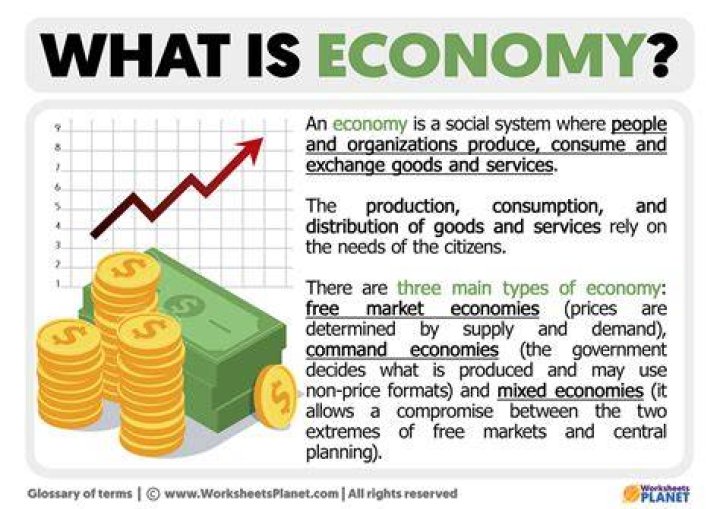 What is the beginning of economic science?