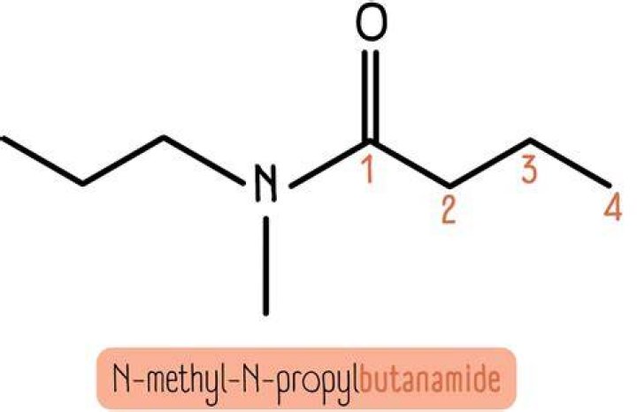 What is the common name of Butanamide?