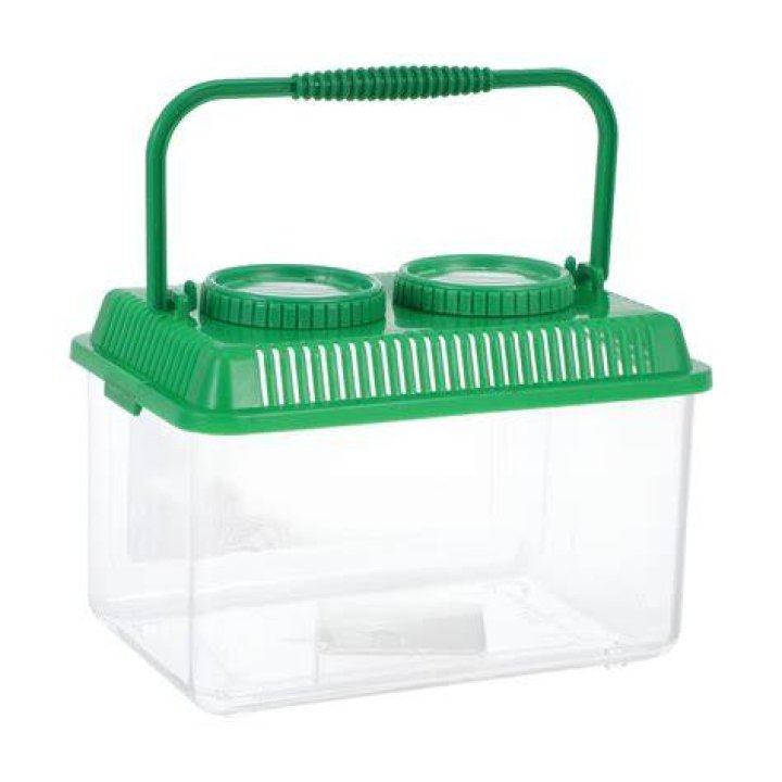 What is the container for animal cells?