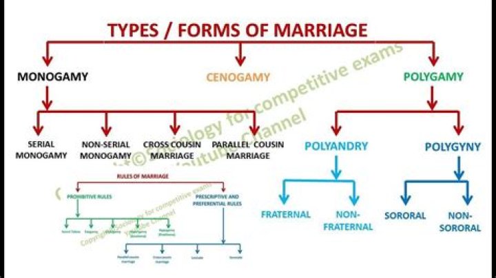 What is the definition of marriage in sociology?