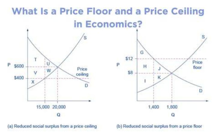 What is the difference between a price floor and a price ceiling give an example of each?