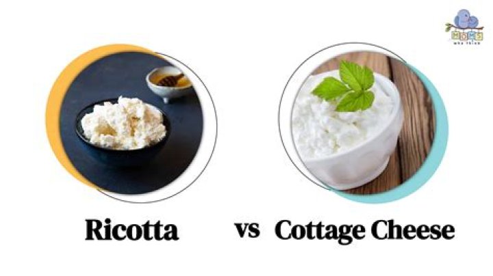 What is the difference between cheese and whey?
